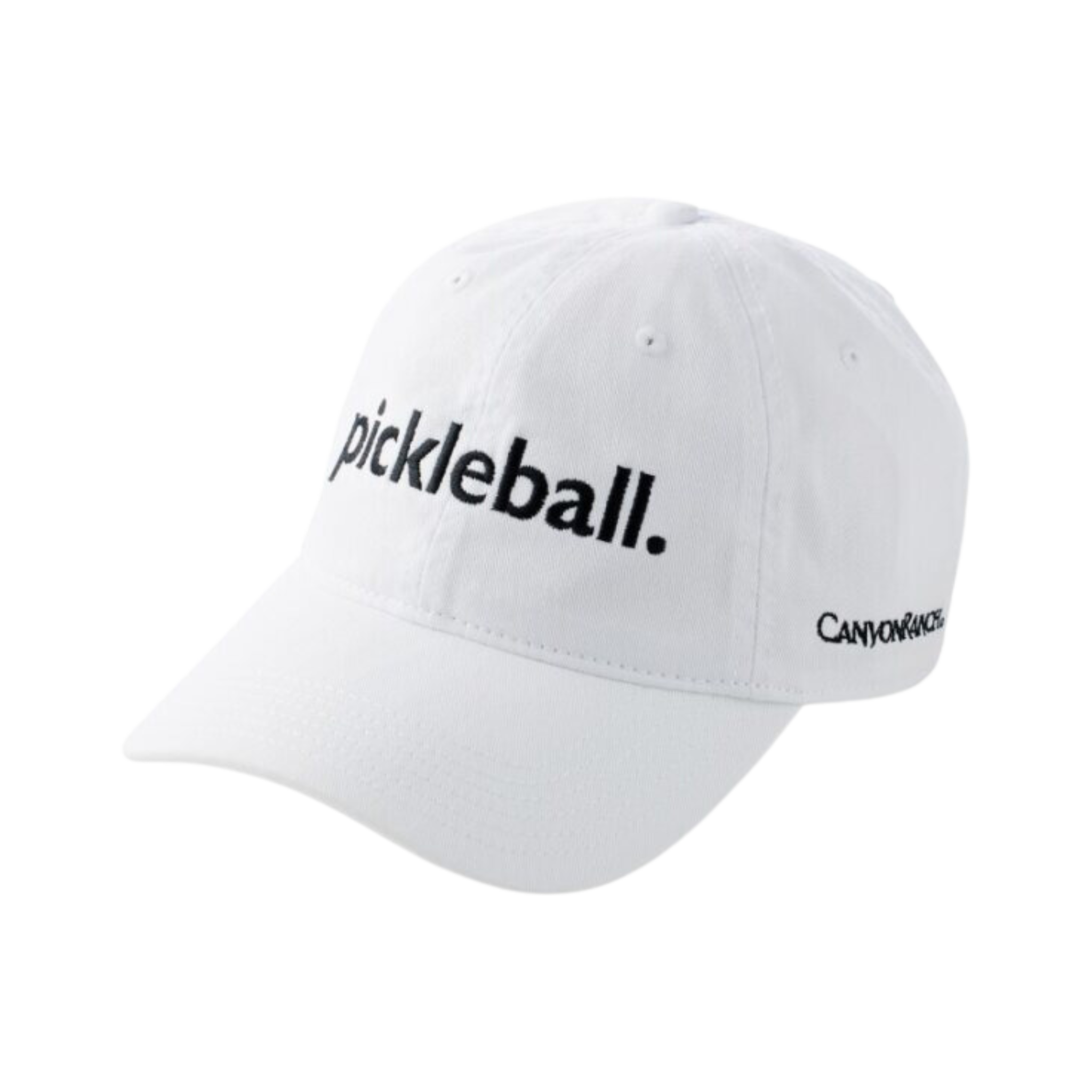 Raquette de Pickleball - SURENHAP - Noir et Bleu - Taille 395x201x15mm Raquette de Pickleball - SURENHAP - Noir et Bleu - Taille 395x201x15mm