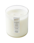 Canyon Ranch Mount Lemmon 16oz Candle