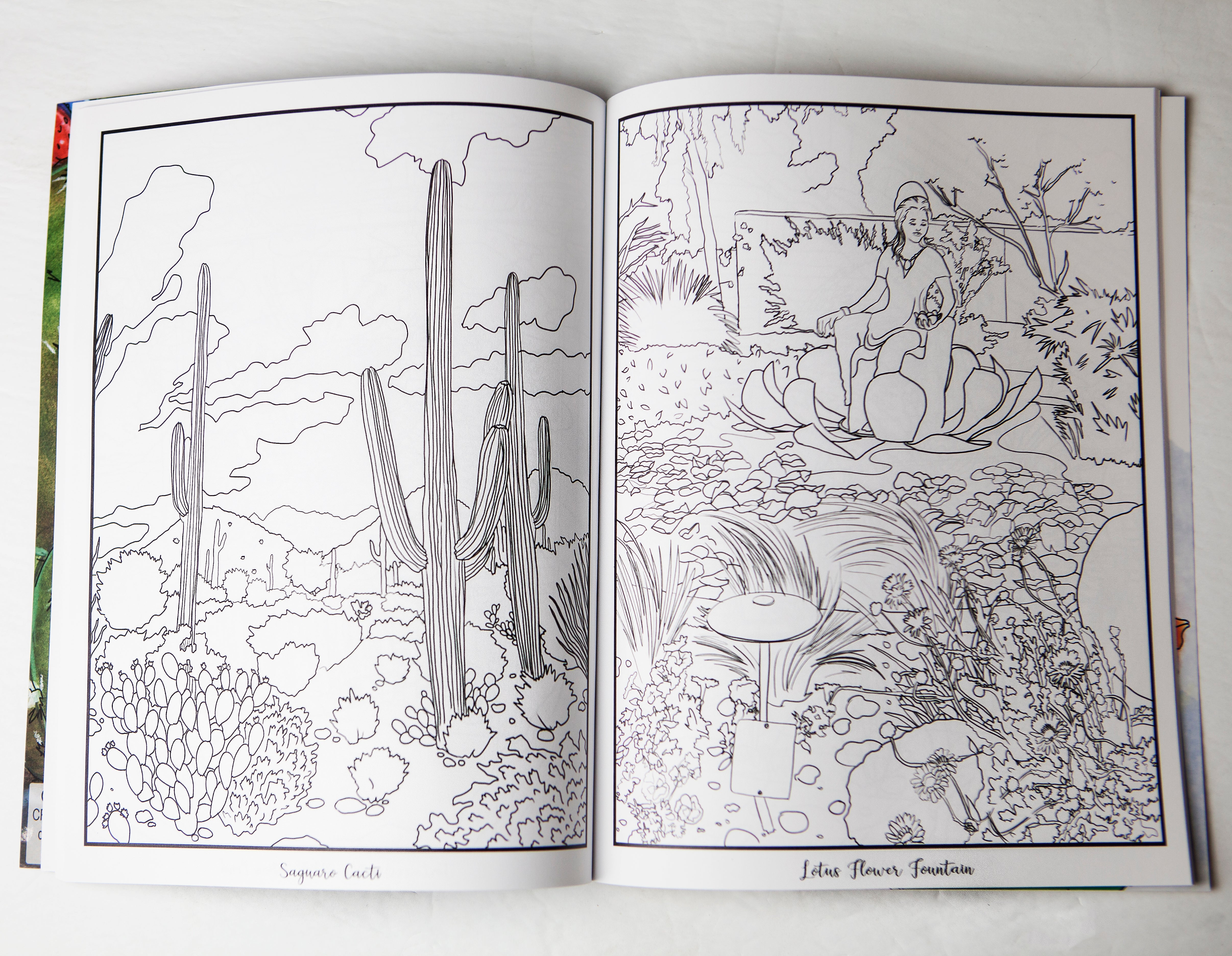 Canyon Ranch All Ages Coloring Book