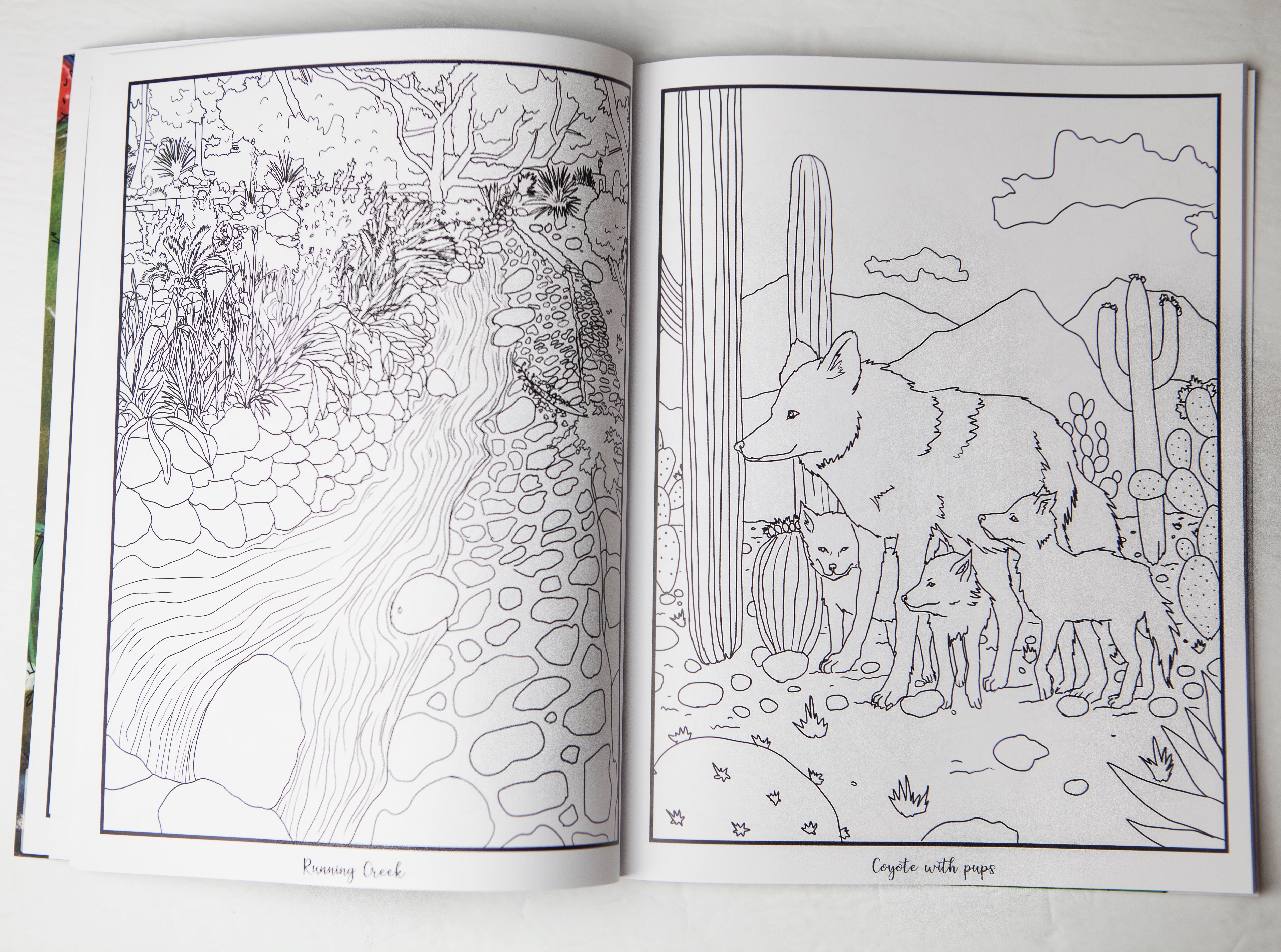 Canyon Ranch All Ages Coloring Book